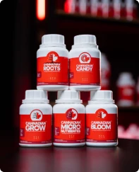 Cannadian Products Stack